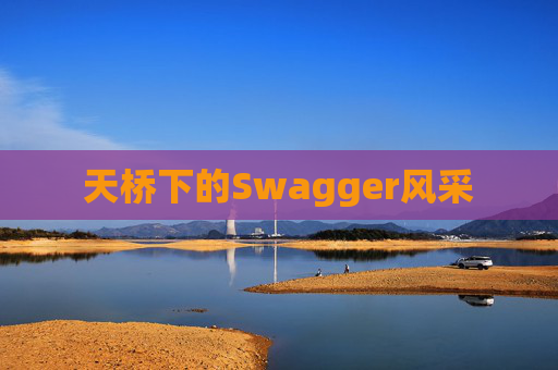 天桥下的Swagger风采